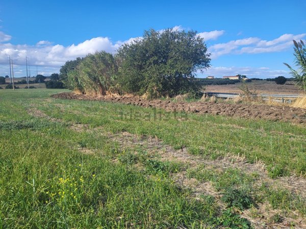 terreno agricolo in vendita a Termoli
