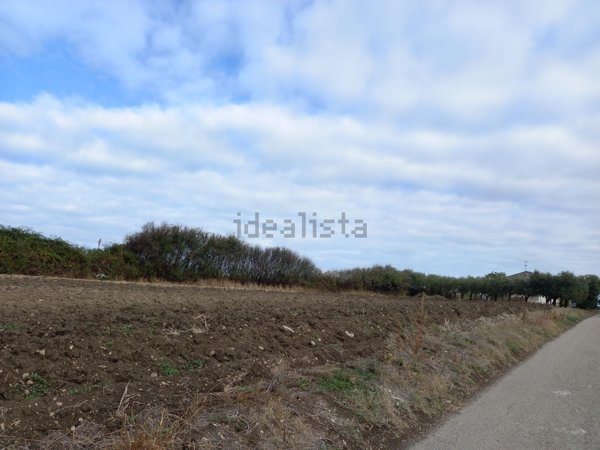 terreno agricolo in vendita a Termoli