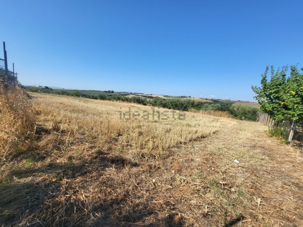 terreno agricolo in vendita a Termoli