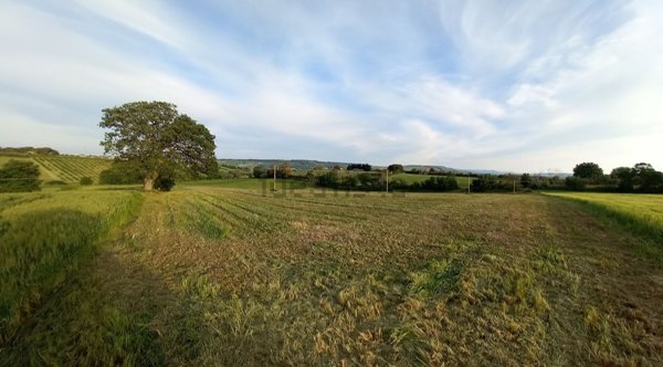 terreno agricolo in vendita a Termoli