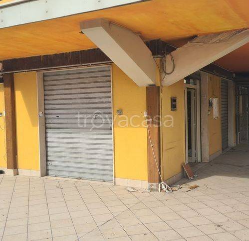 negozio in vendita a Termoli