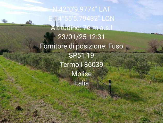 terreno agricolo in vendita a Termoli