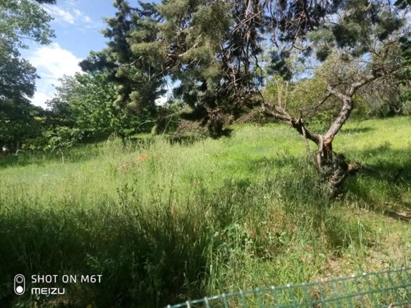 terreno agricolo in vendita a Termoli