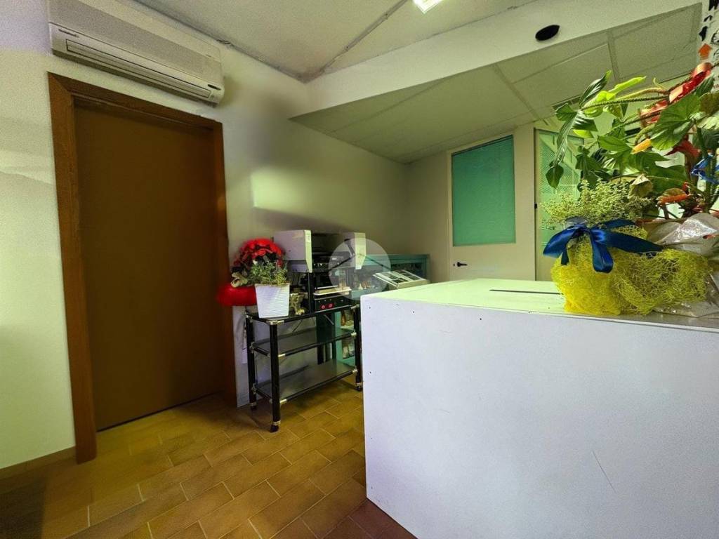 negozio in vendita a Termoli