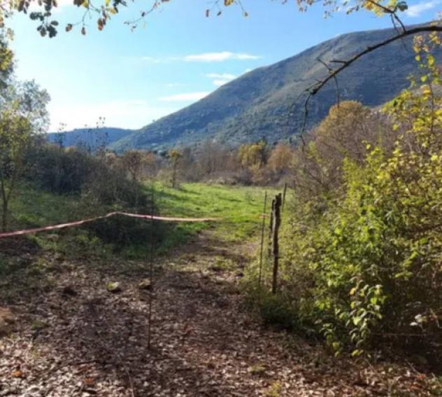 terreno agricolo in vendita a Termoli