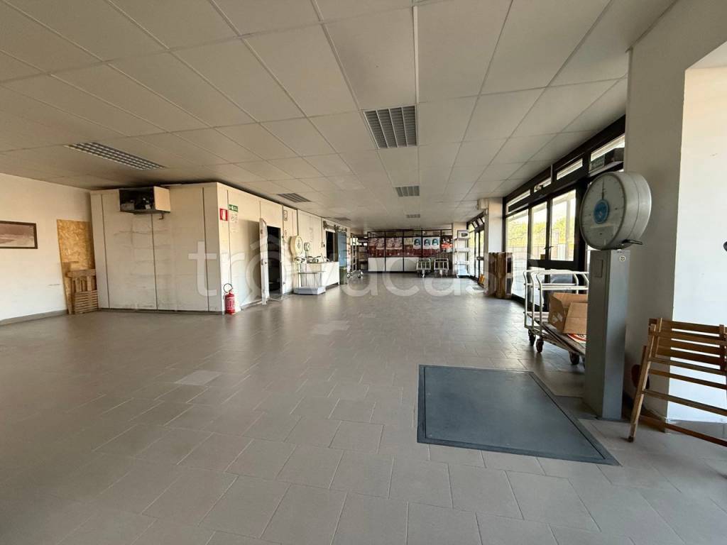 negozio in vendita a Termoli