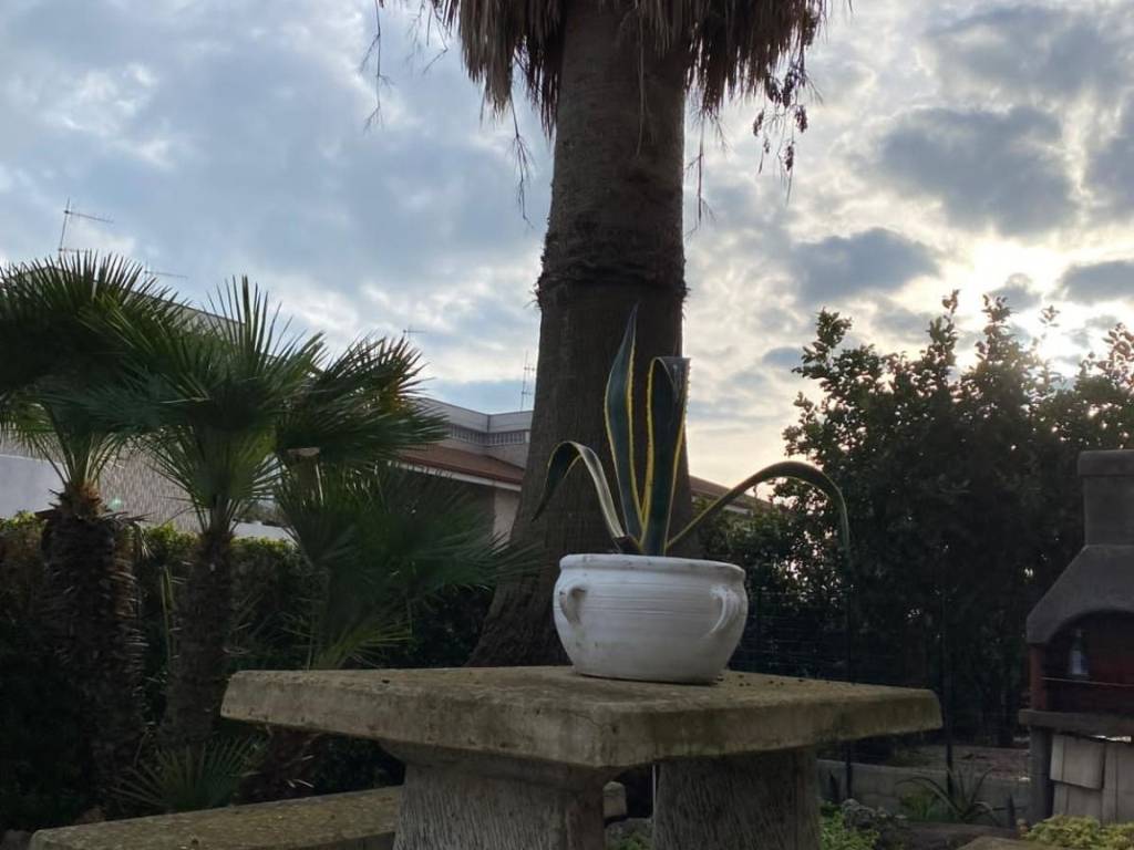 casa indipendente in vendita a Termoli