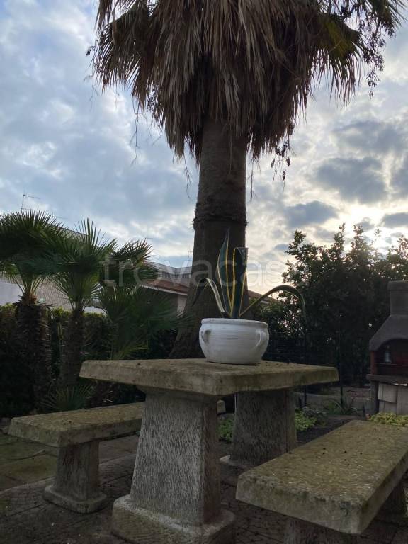 casa indipendente in vendita a Termoli