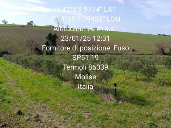 terreno agricolo in vendita a Termoli