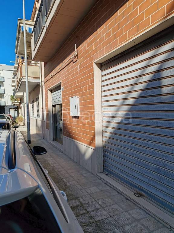 negozio in vendita a Termoli