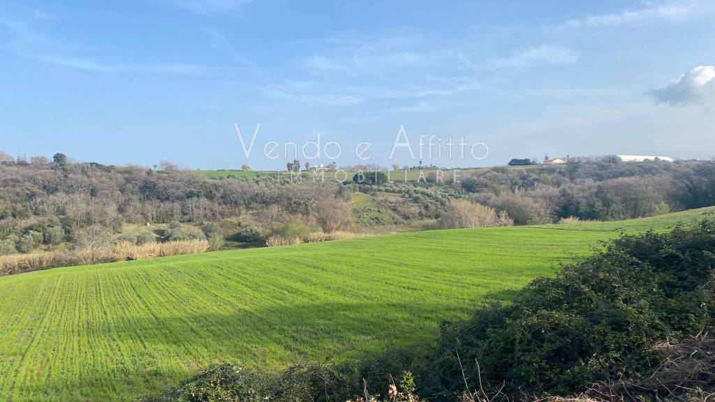 terreno agricolo in vendita a Termoli