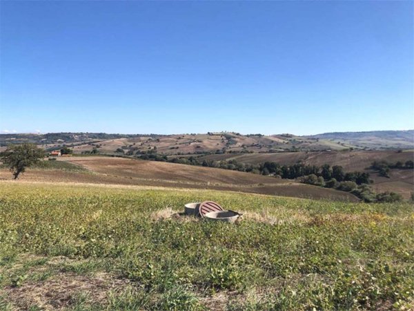terreno agricolo in vendita a Termoli
