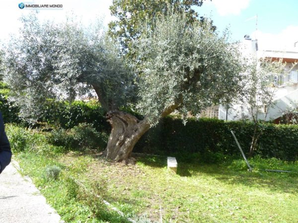 casa indipendente in vendita a Termoli