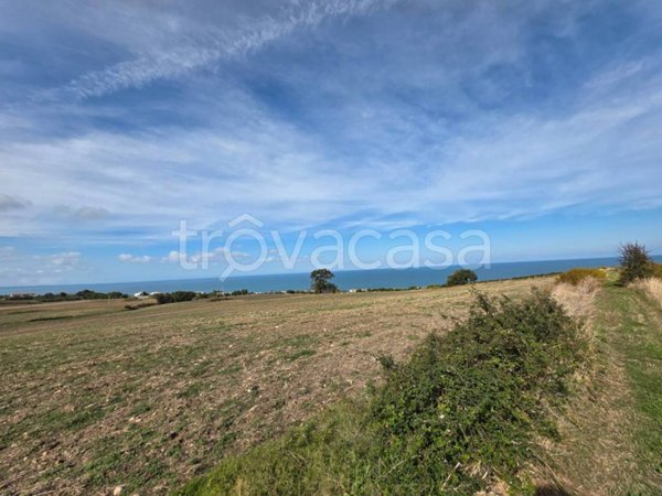 terreno agricolo in vendita a Termoli