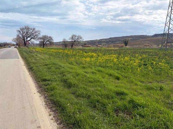 terreno agricolo in vendita a Termoli