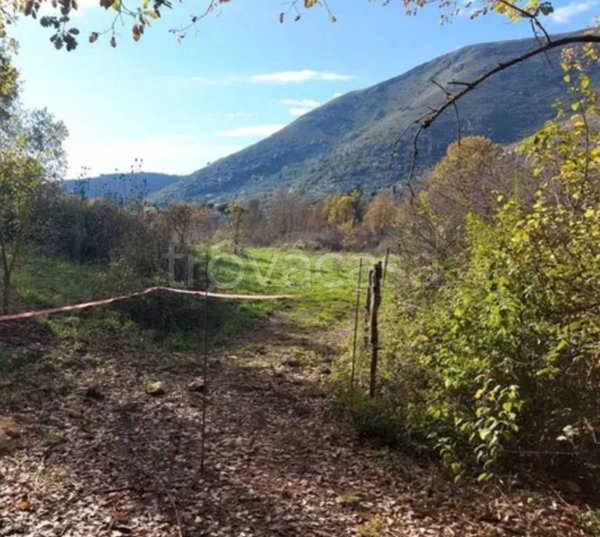 terreno agricolo in vendita a Termoli