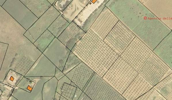 terreno agricolo in vendita a Termoli