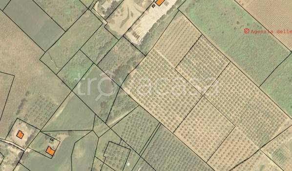 terreno agricolo in vendita a Termoli