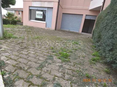 negozio in vendita a Termoli