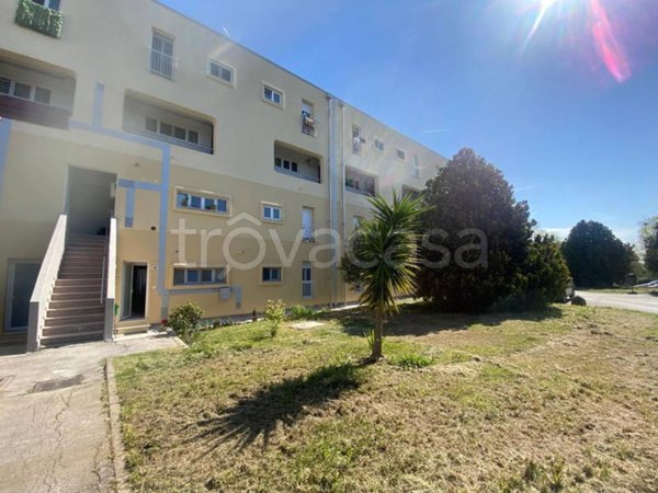 appartamento in vendita a Termoli