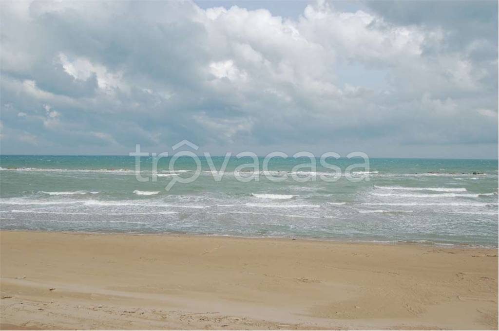 negozio in vendita a Termoli