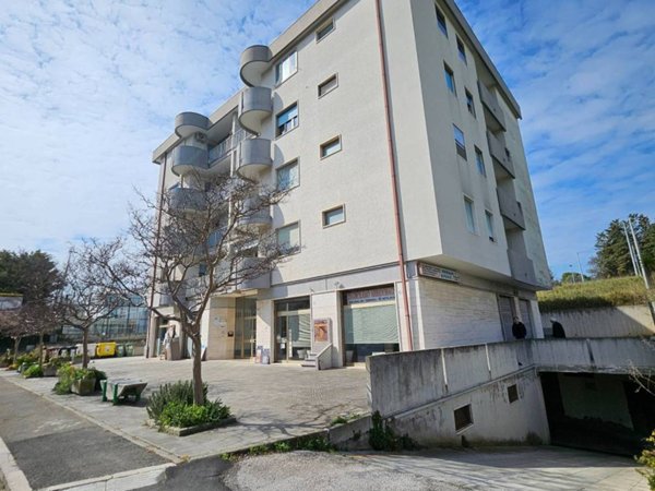 appartamento in vendita a Termoli