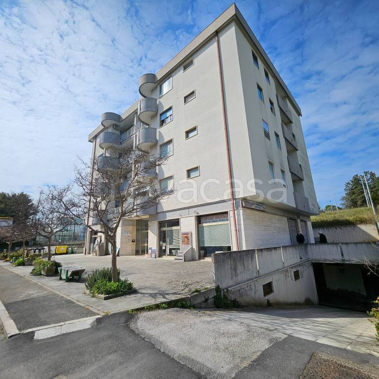 appartamento in vendita a Termoli