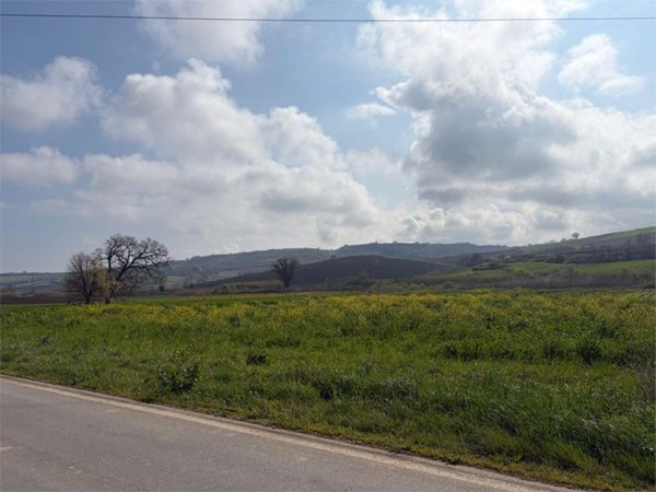 terreno agricolo in vendita a Termoli