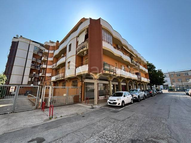 appartamento in vendita a Termoli