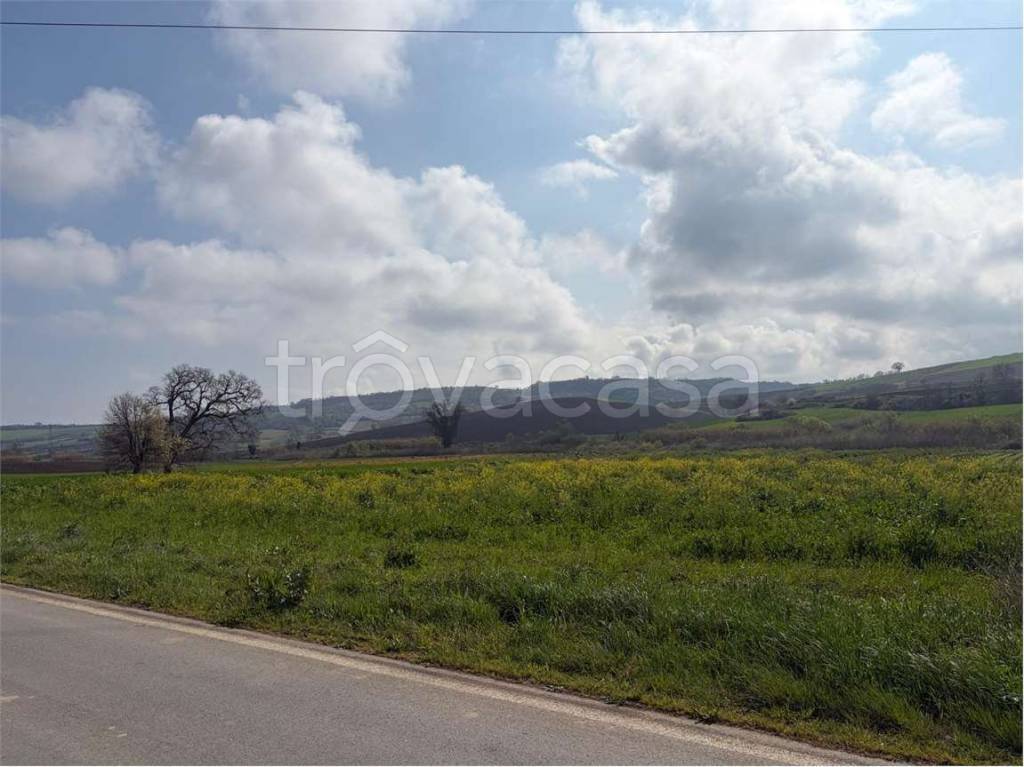 terreno agricolo in vendita a Termoli