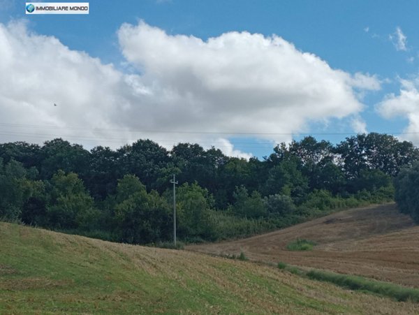 terreno agricolo in vendita a Termoli