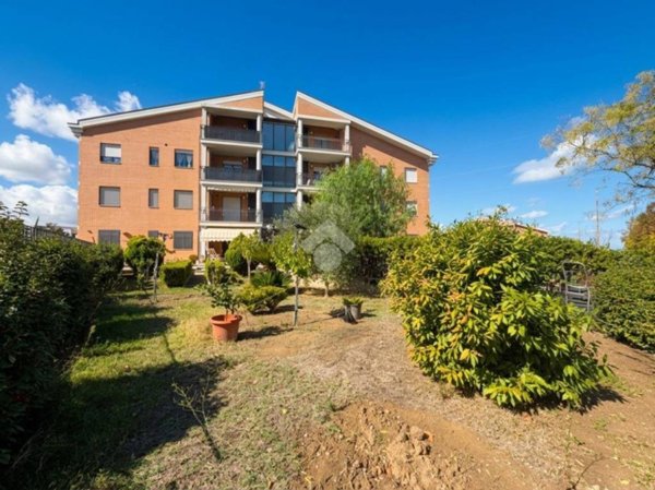 appartamento in vendita a Termoli