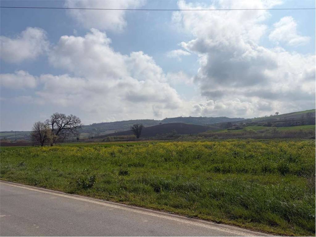 terreno agricolo in vendita a Termoli