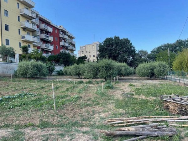 terreno agricolo in vendita a Termoli