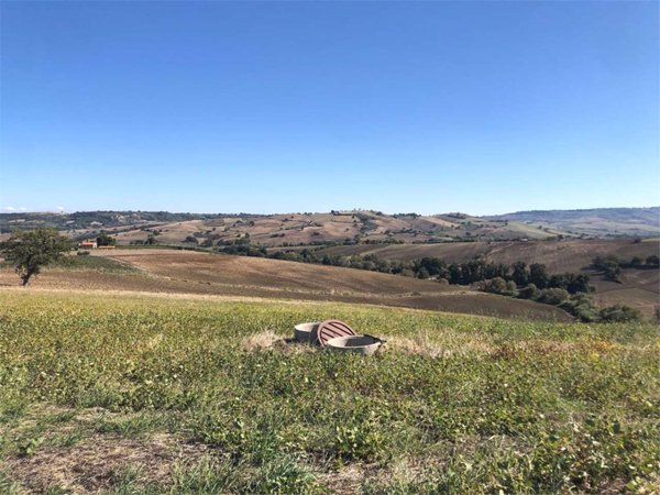 terreno agricolo in vendita a Termoli