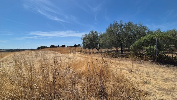 terreno agricolo in vendita a Termoli