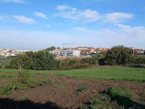 terreno agricolo in vendita a Termoli
