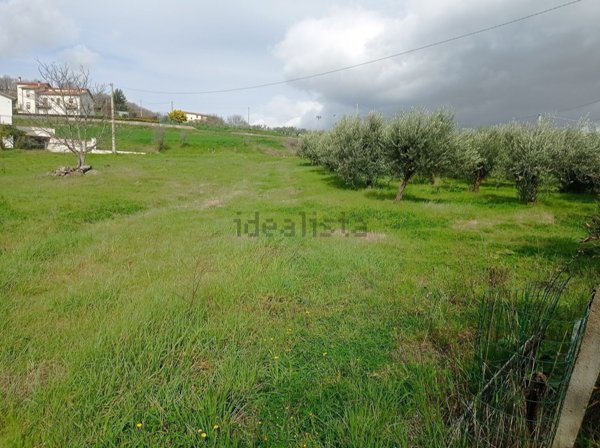 esavano in vendita a Trivento