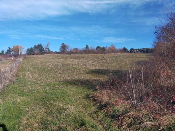 terreno agricolo in vendita a Vinchiaturo