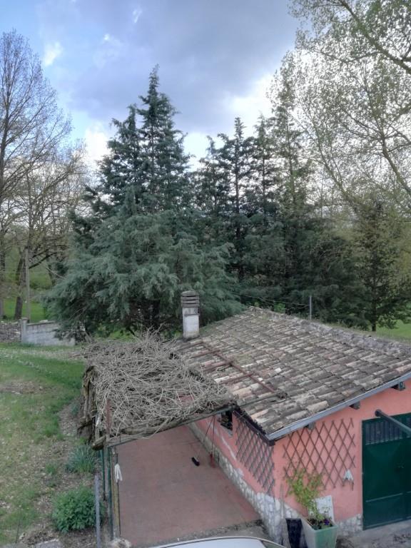 casa indipendente in vendita a Vinchiaturo