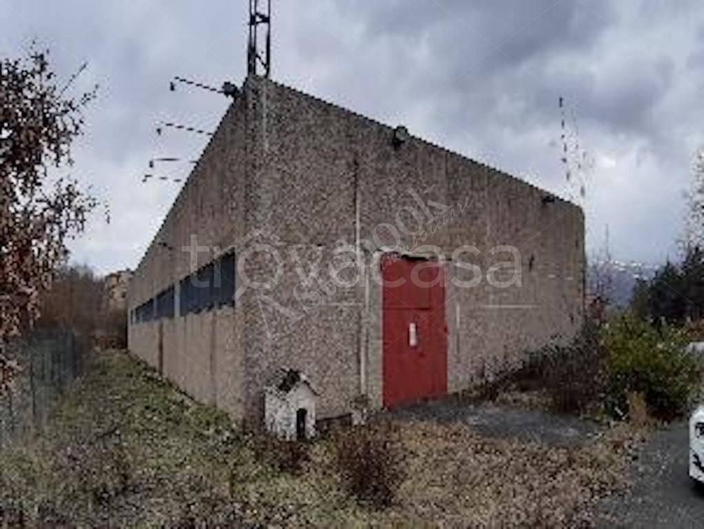 immagine annuncio 0 di 15