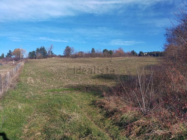 casa indipendente in vendita a Vinchiaturo