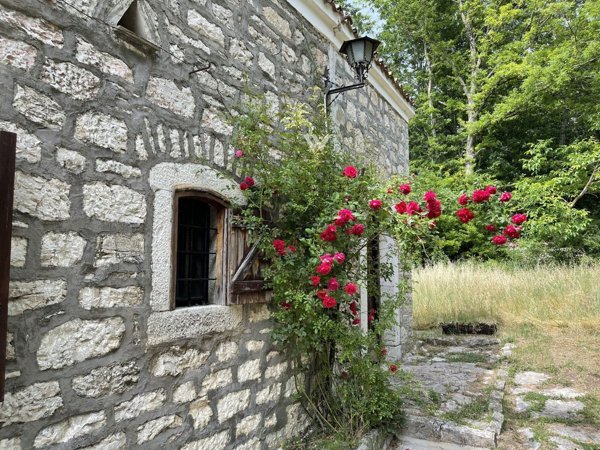 esavano in vendita a Vinchiaturo