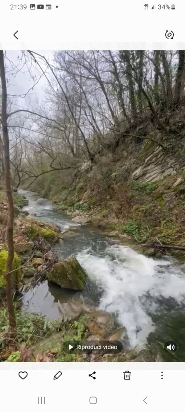 esavano in vendita a Vinchiaturo