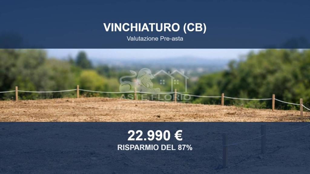 terreno agricolo in vendita a Vinchiaturo