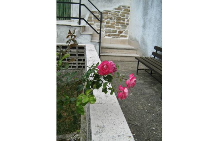 casa indipendente in vendita ad Alberona