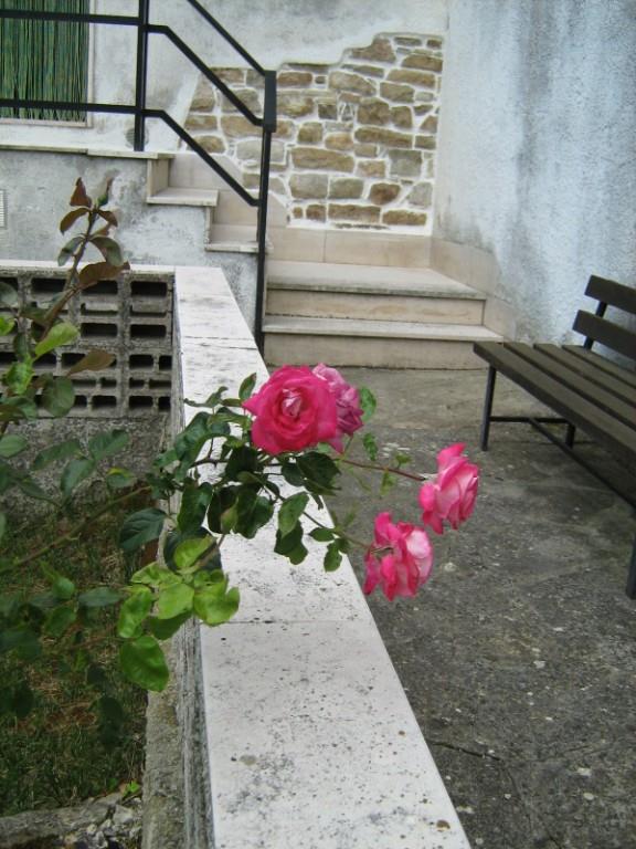 casa indipendente in vendita ad Alberona