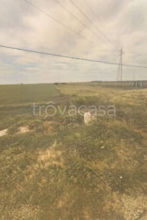 immagine annuncio 0 di 10