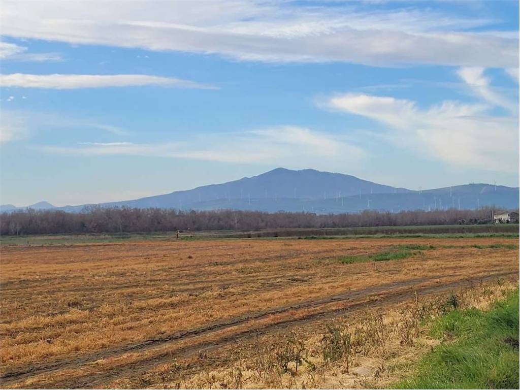 terreno agricolo in vendita ad Ascoli Satriano