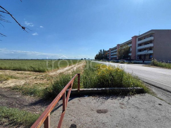 terreno agricolo in vendita a Carapelle